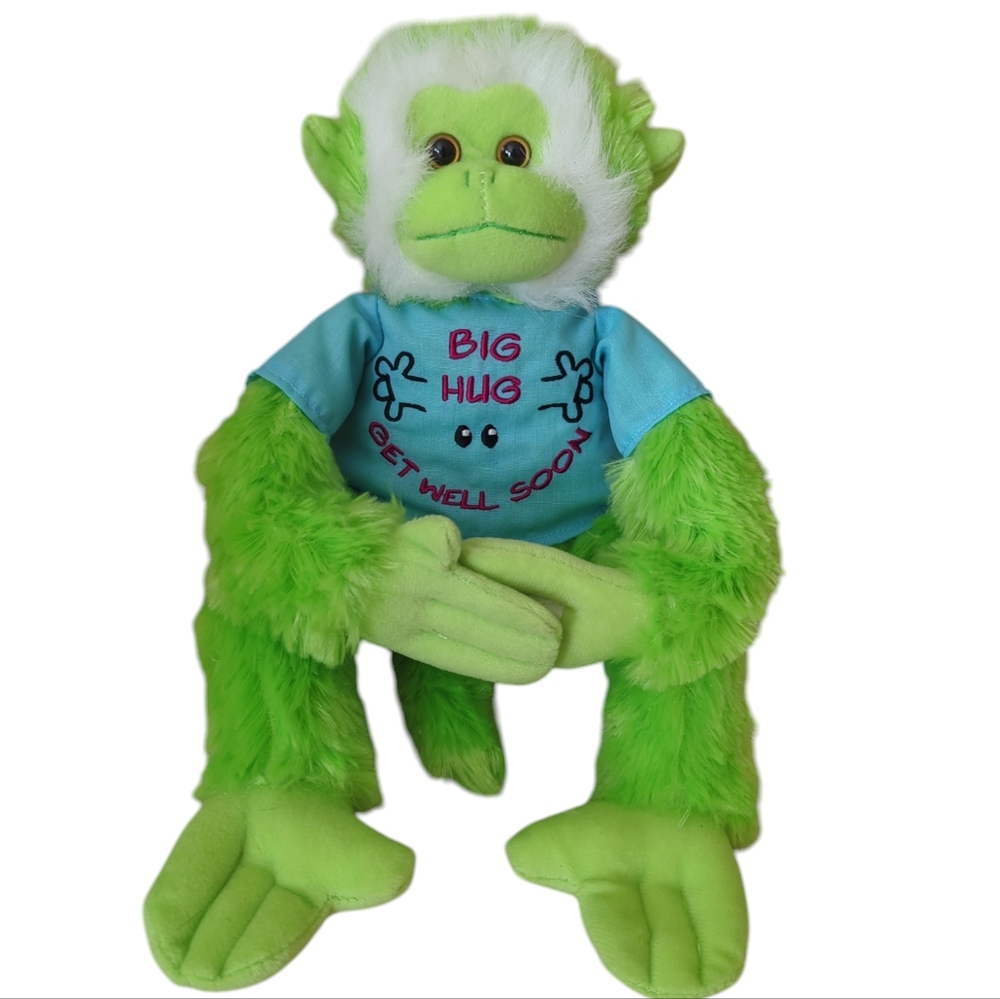 Fiesta Plush Get Well Soon Hanging Monkey Green